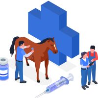 icona veterinari oer EHV-1