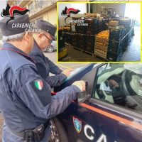 Cronaca, Catania: Operazione congiunta al mercato ortofrutticolo di Catania dei Carabinieri del Nucleo Investigativo di Polizia Ambientale Agroalimentare e Forestale e del Corpo Forestale della Regione Sicilia; sequestrate oltre otto tonnellate di agrumi.