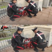 Cronaca, Catania: Quartiere Librino 6 kili di marijuana in balcone: arrestato 28enne catanese dai Carabinieri.