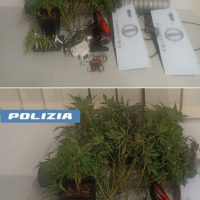 Cronaca, Catania: Chiama la Polizia ma finisce nei guai, arrestato per produzione di droga.