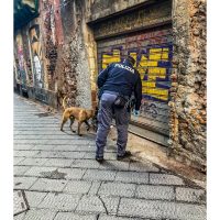 Cronaca, Catania: A San Berillo controlli rafforzati della Polizia di Stato, recuperato uno scooter che era stato rubato in Corso Italia.