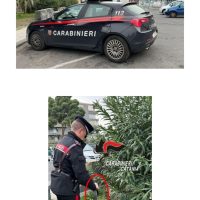 Cronaca, Catania, quartiere San Giorgio: Arrestato pusher che spacciava nei parcheggi della chiesa, nonostante le cautele adottate per non farsi “beccare”.