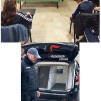 Attualità, Paternò CT): Un Carabiniere per amico – a scuola con l’Arma per diffondere la cultura della legalità.