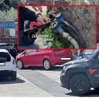 Cronaca, Santa Maria di Licodia (CT): Ai domiciliari con acqua del comune, arrestato dai Carabinieri stavolta in carcere.